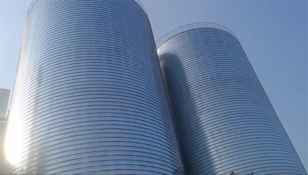 秦州2座混凝土高架卷板仓